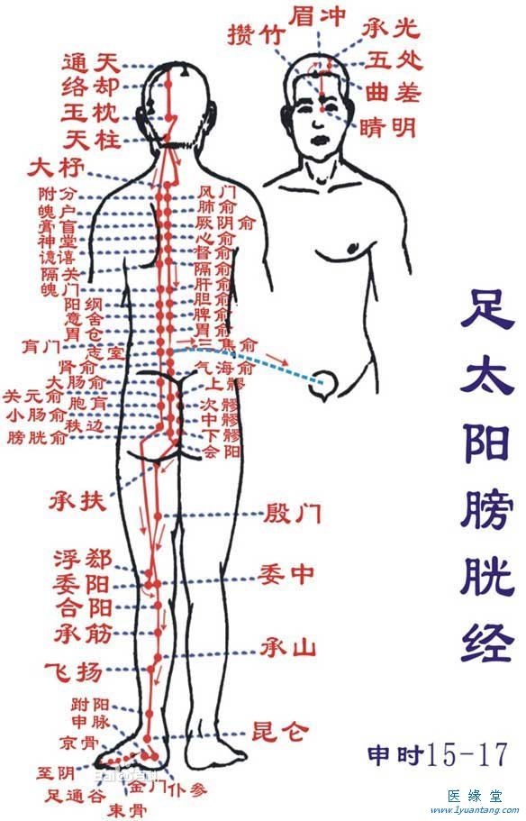 如何利用足太陽膀胱經“生命拉鏈”提精神，增加健康指數